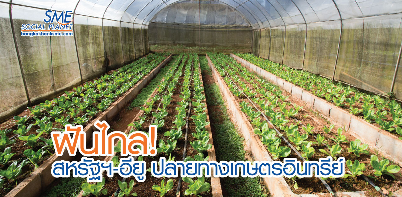 Organic Food เกษตรอินทรีย์ ความท้าทายภาคเกษตรไทย