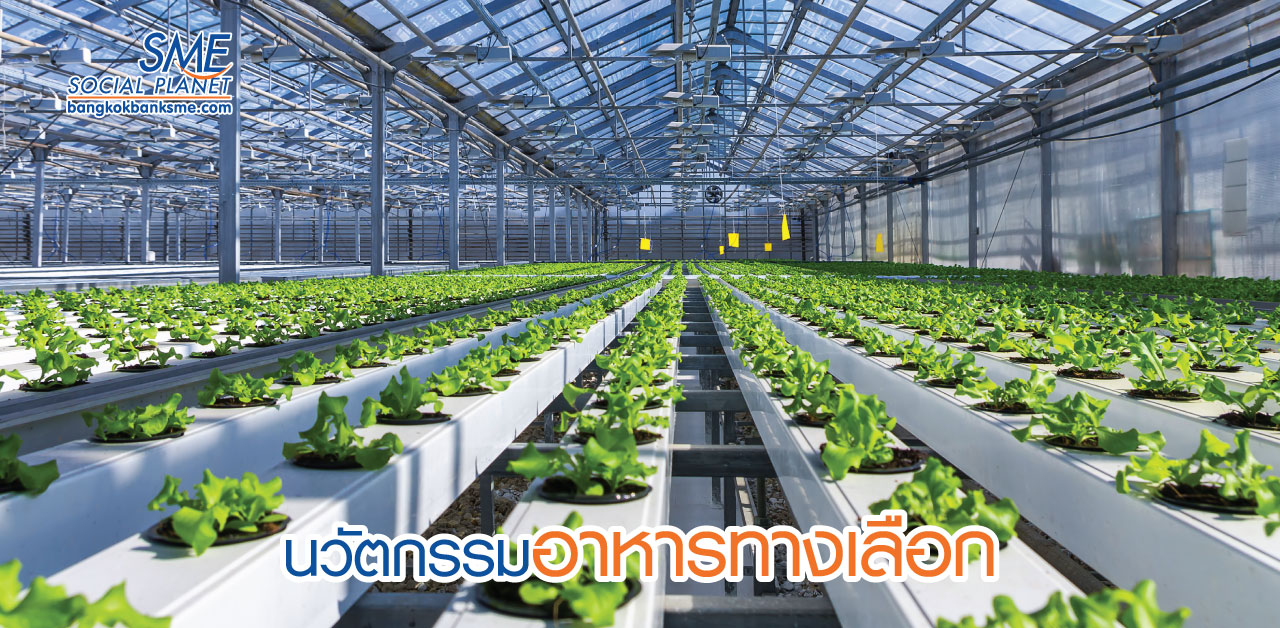 จากโดมปลูกผักของ JD ถึงนวัตกรรม“ข้าวทางเลือก”
