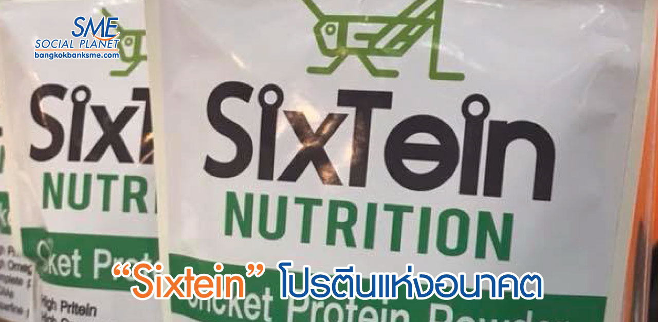 โปรตีนจิ้งหรีดไทยเจาะตลาดต่างประเทศ