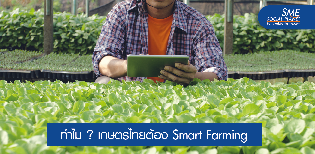 Smart Farming จุดเปลี่ยนประเทศไทย