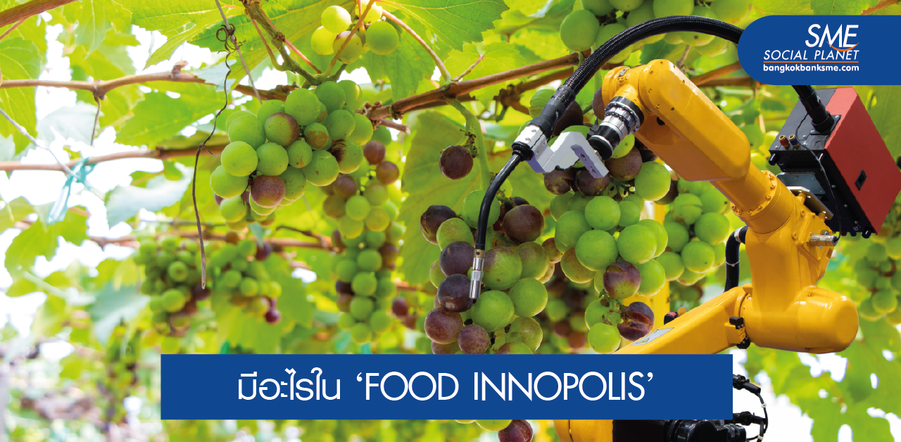 FOOD INNOPOLIS จิ๊กซอว์สู่มหาอำนาจด้านอาหารของโลก