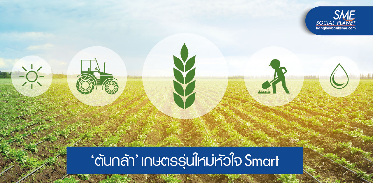 Smart Farming ลดต้นทุน เพิ่มผลผลิตให้เกษตรกร