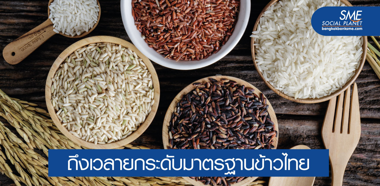 เจาะยุทธศาสตร์ข้าวไทย 5 ปี ดันไทยแหล่งผลิตข้าวมาตรฐานโลก