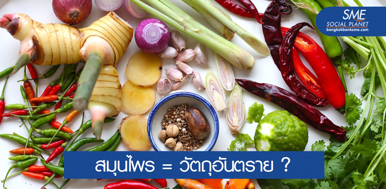 ข้อเท็จจริง 13 พืชสมุนไพรกับความเป็นวัตถุอันตราย