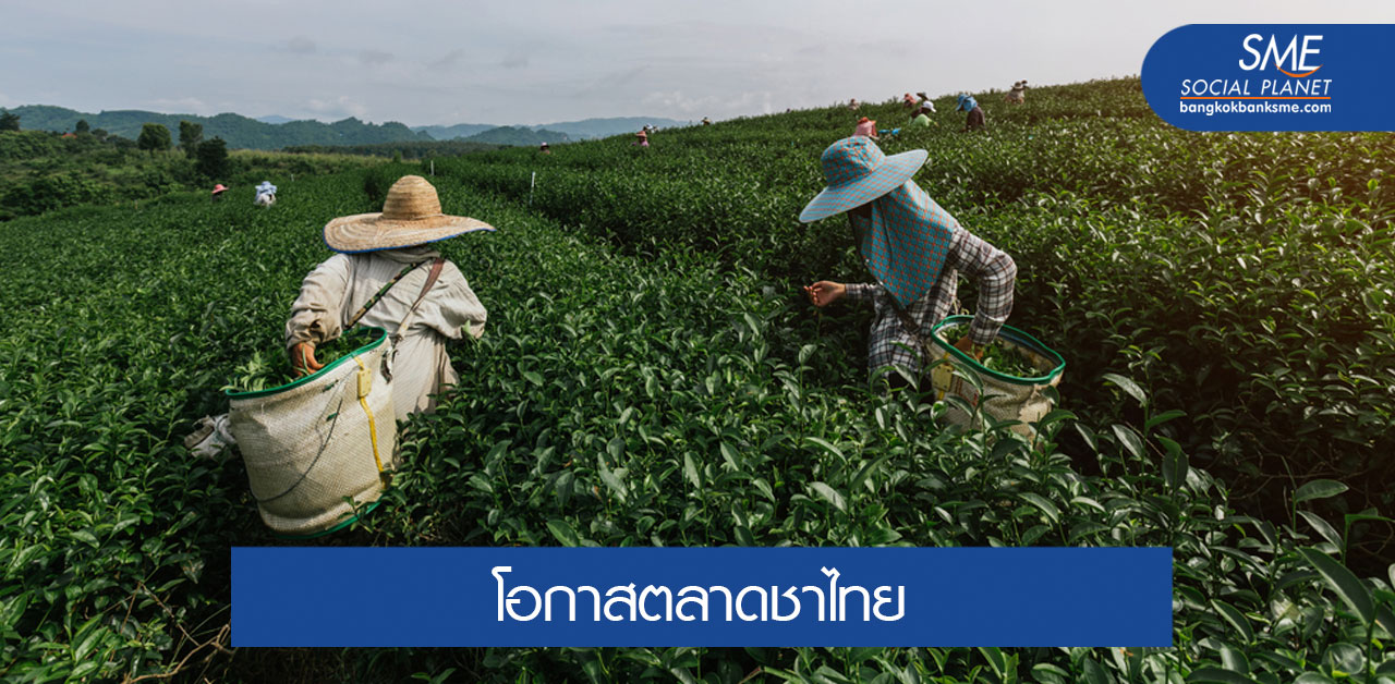 สร้างแบรนด์ โอกาสชาไทยรุกตลาด ‘นิชมาร์เก็ต’