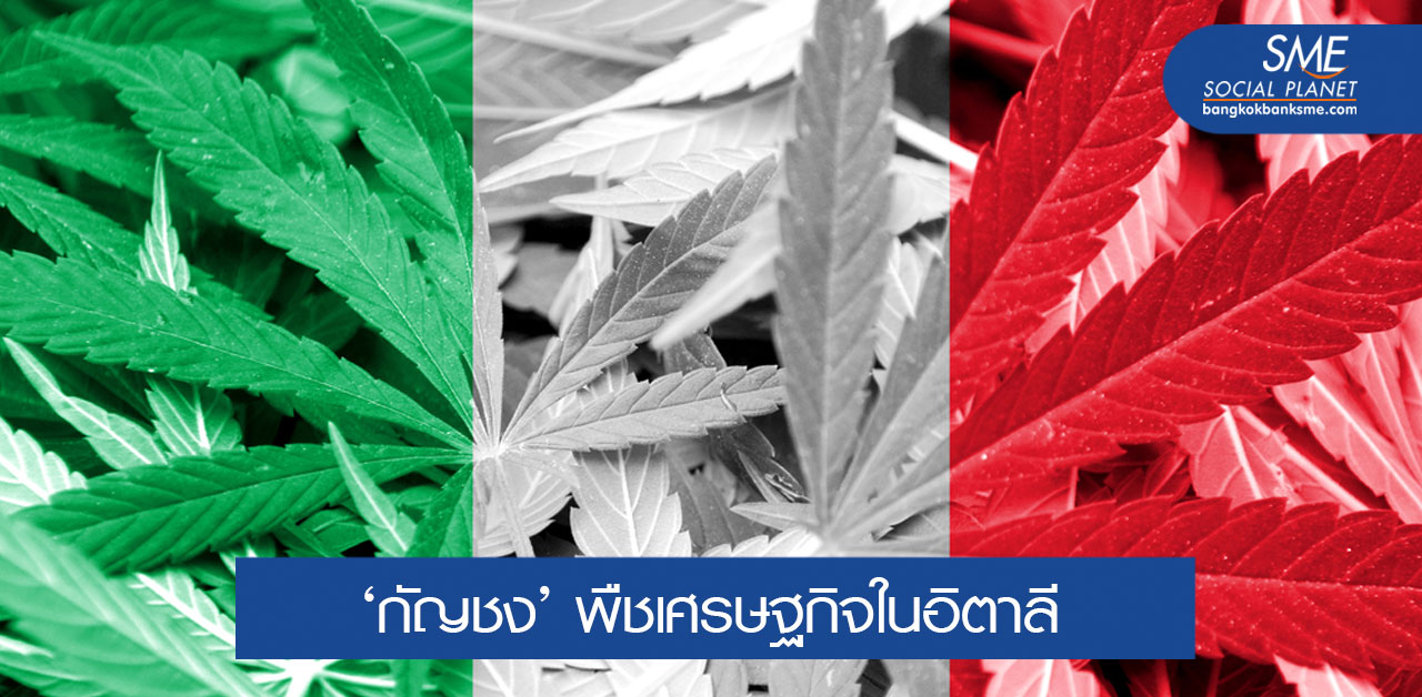 อนาคต ‘ตลาดกัญชง’ โอกาสที่เปิดกว้างในอิตาลี