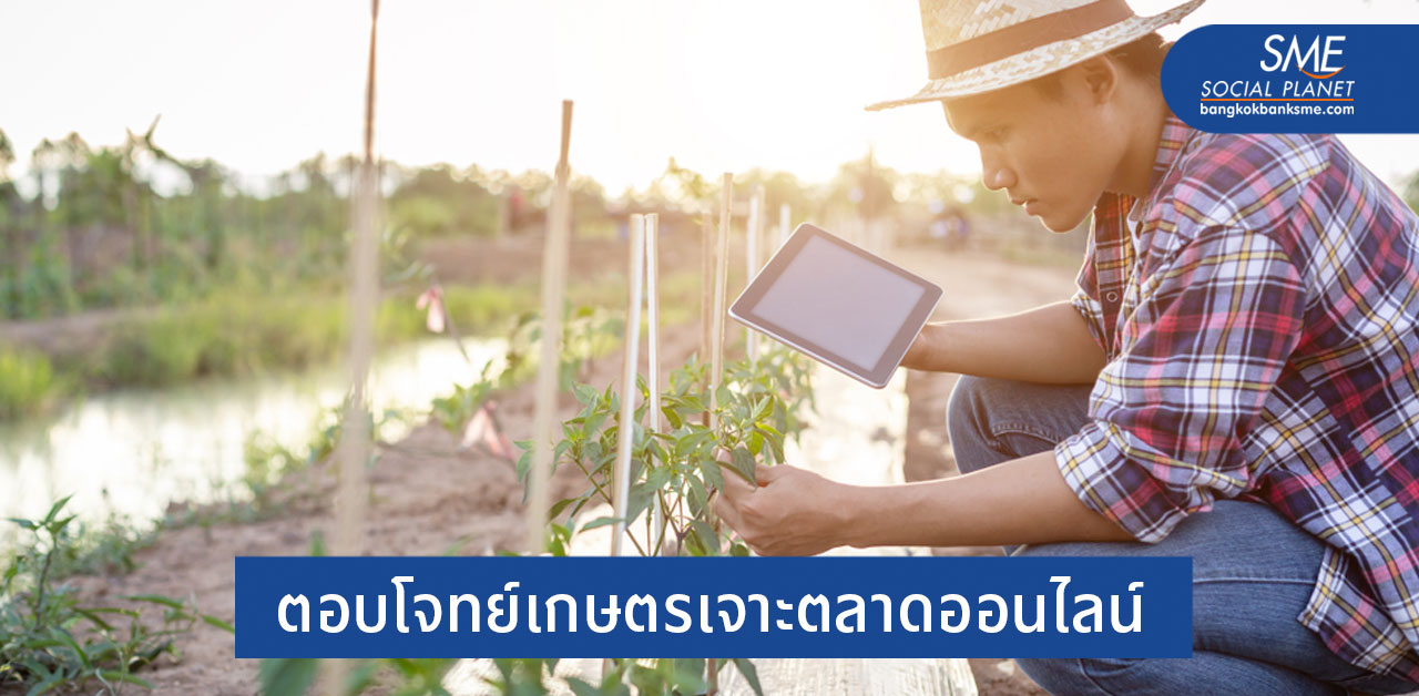 Herbs Starter - Find Food เขี้ยวเล็บใหม่ของเกษตรกรไทย