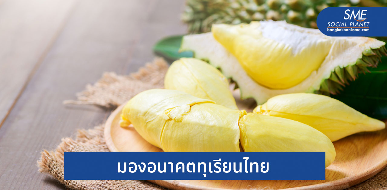 เทียบฟอร์มทุเรียนไทย-มาเลเซีย ใครดีกว่าในตลาดจีน