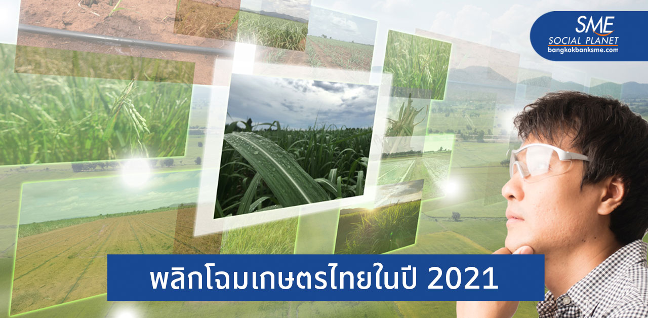 6 เทคโนโลยีที่จะมาพลิกโฉมวงการเกษตรไทย