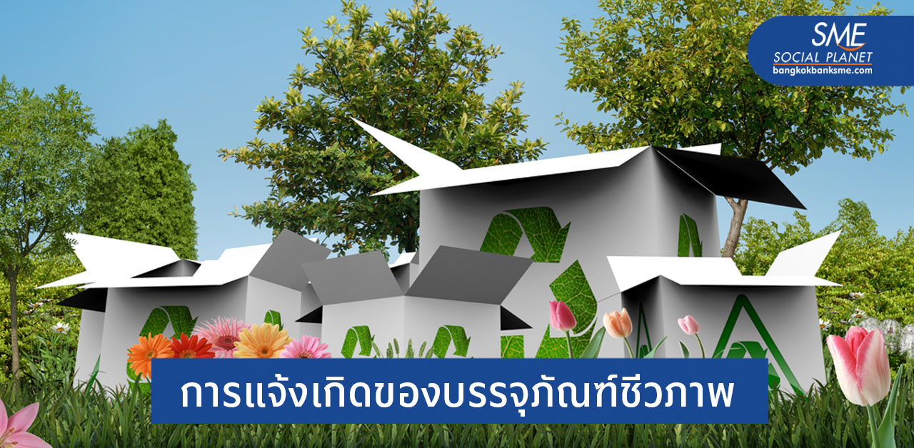 Case Study การเปลี่ยนผ่านของตลาดบรรจุภัณฑ์