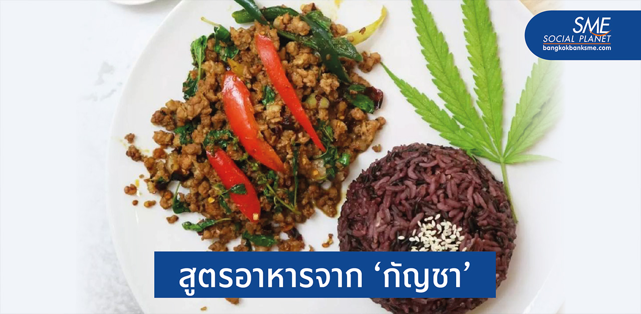 เมนูกัญชาพาเพลิน รับประทานได้ ไม่ผิดกฎหมาย