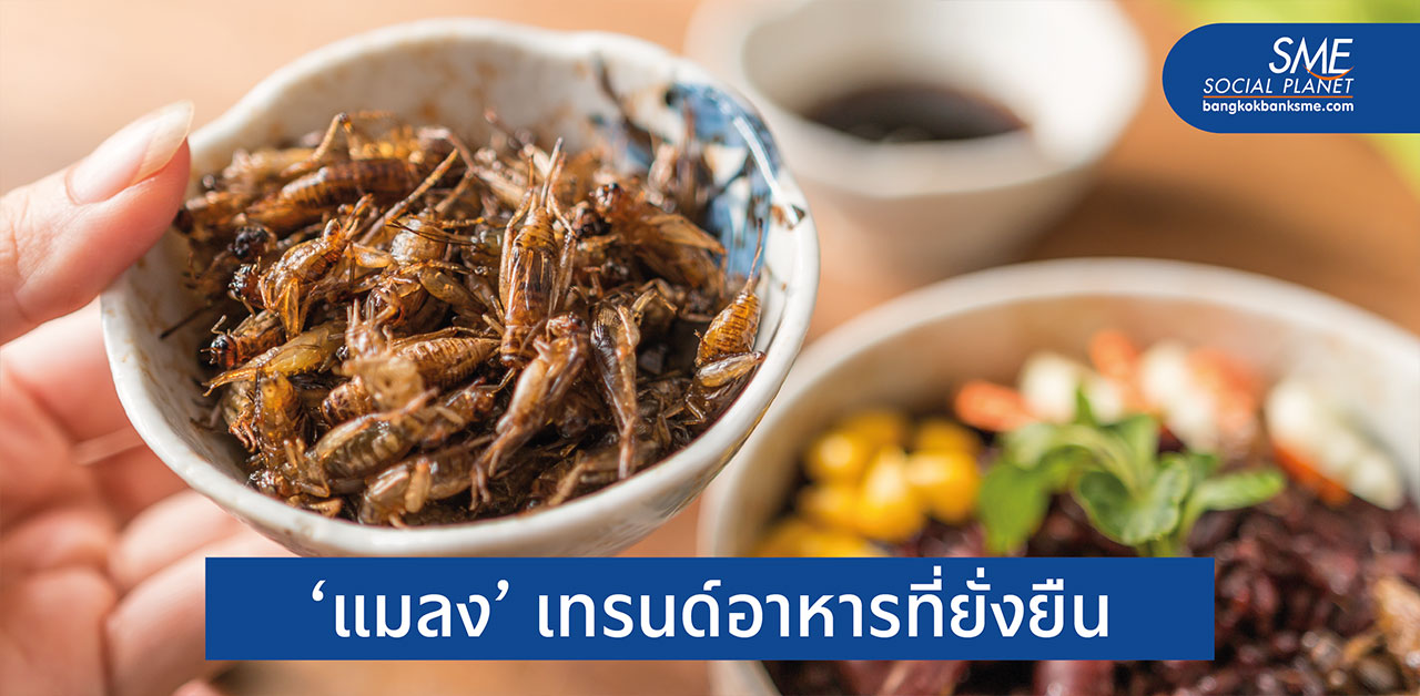 เพาะเลี้ยง ‘แมลง’ นโยบายเกษตรยั่งยืนของอียู