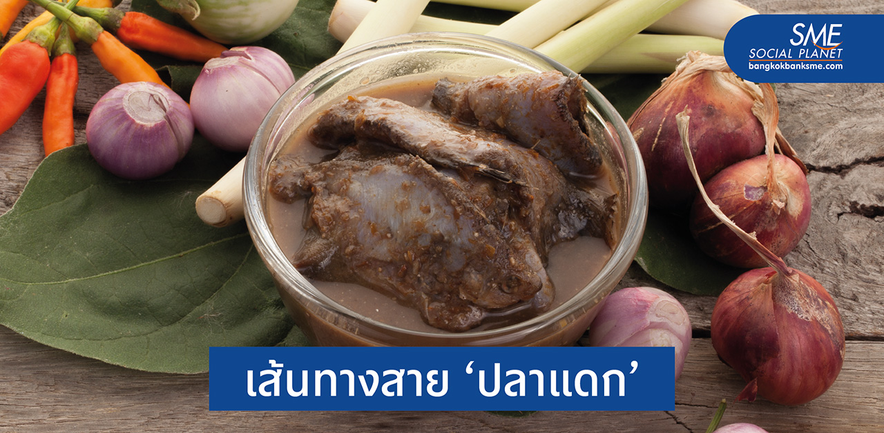 ‘ปลาร้า’ ภูมิปัญญาไทยกระจายความแซบสู่ครัวโลก