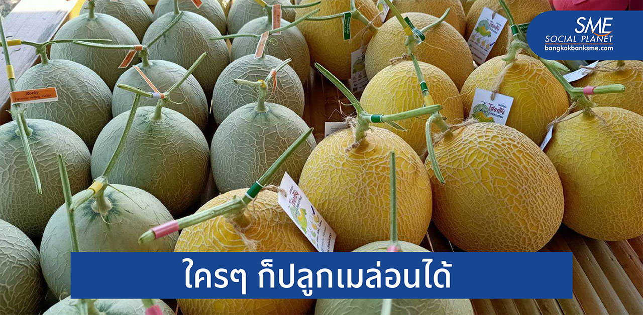 ‘เมล่อนอุ้มบุญ’ ยกต้นแบบสมาร์ทฟาร์มจากญี่ปุ่น