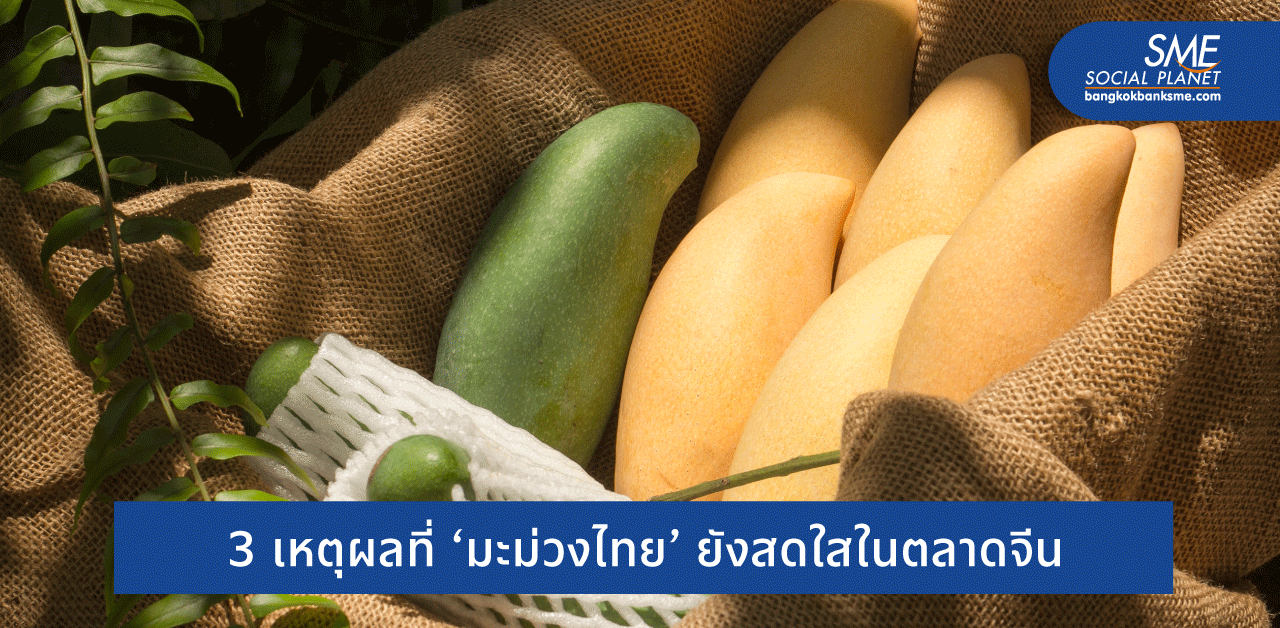 แม้จีนผลิตมะม่วงเองได้ ทำไม? ไทยยังมีโอกาส