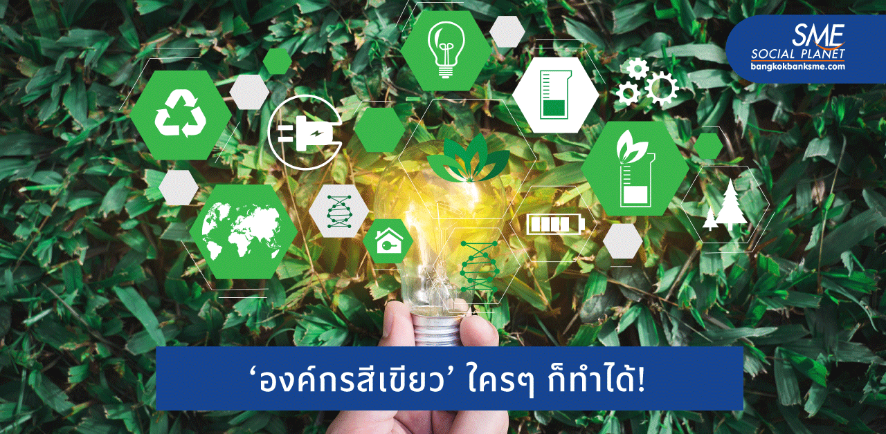 6 วิธีห่วงใยโลกด้วย ‘นวัตกรรมสีเขียว’ ในออฟฟิศ