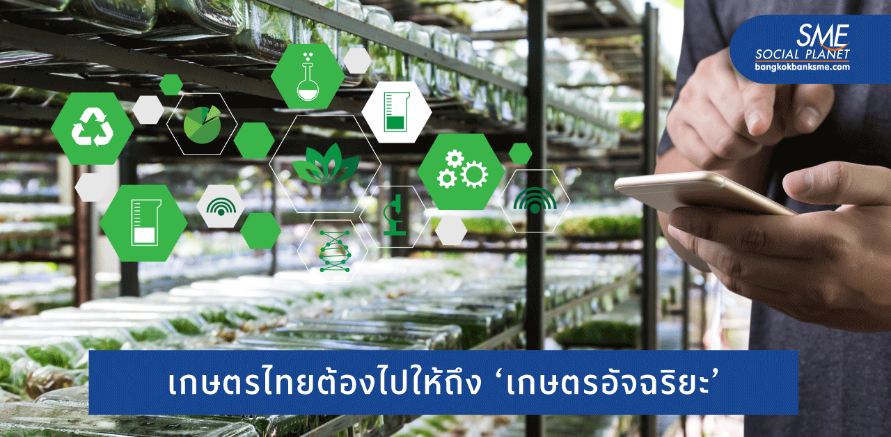 เรียนรู้ความสำเร็จ ‘Smart Farming’ สร้างความยั่งยืนเกษตรไทย