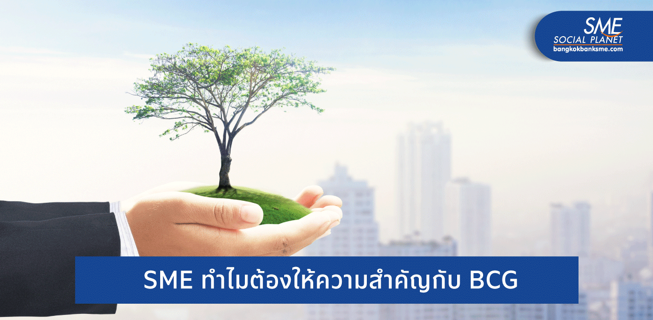 BCG ธุรกิจเพื่ออนาคต สำคัญต่อ SME อย่างไร?