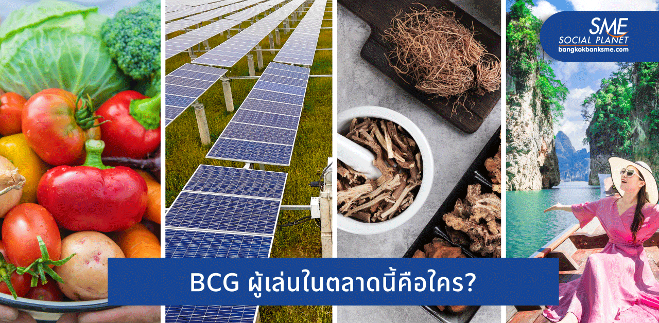 ส่องธุรกิจ BCG ในไทย กับมุมมองการเติบโต
