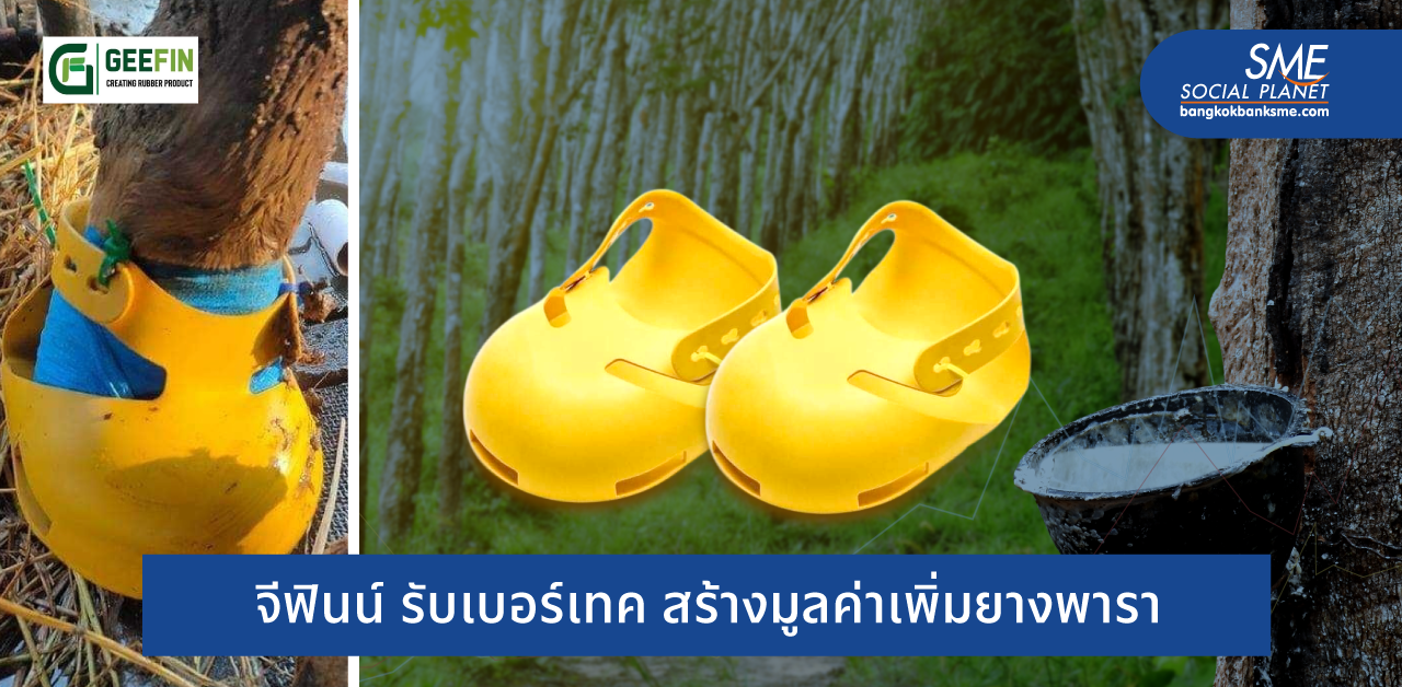 Deeco นวัตกรรมยางพาราสู่ ‘รองเท้าโค’ ลดการเจ็บกีบเท้าเจาะตลาดฟาร์มโคนม Deeco นวัตกรรมยางพาราสู่ ‘รองเท้าโค’ ลดการเจ็บกีบเท้าเจาะตลาดฟาร์มโคนม