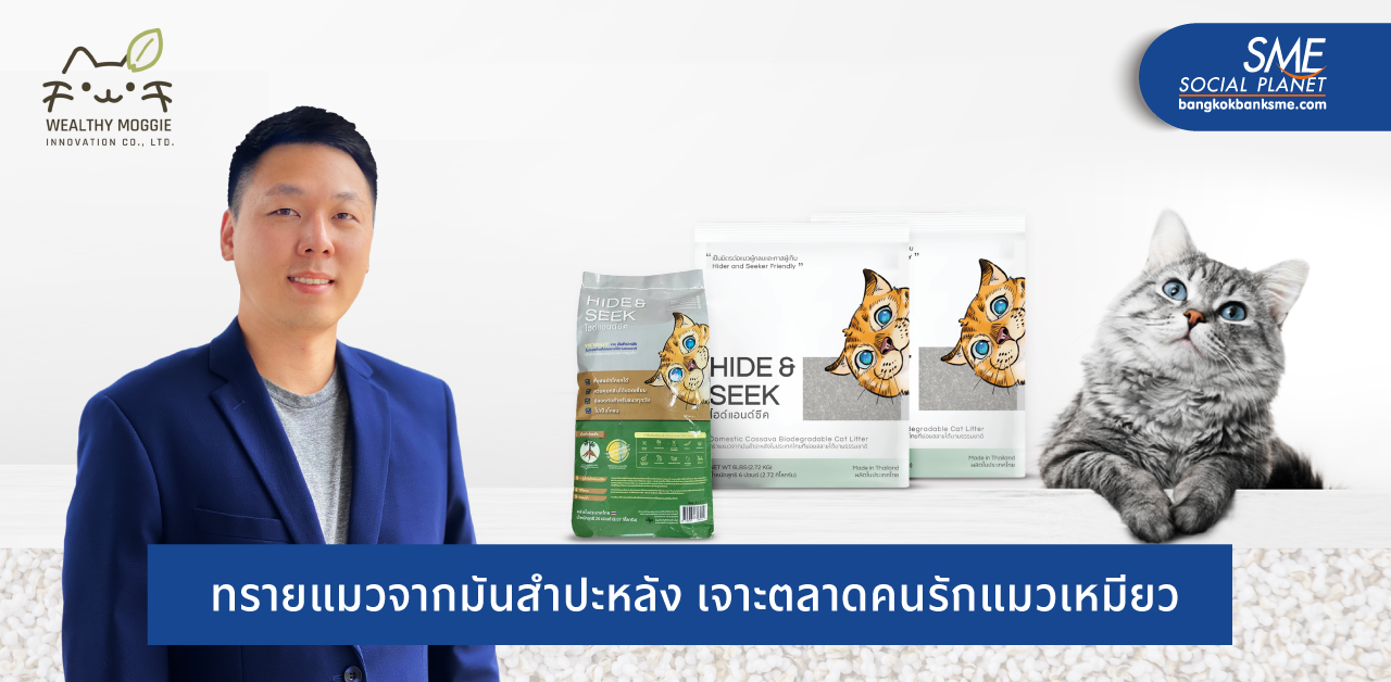 นวัตกรรมทรายแมวจากมันสำปะหลัง ตอบโจทย์คนรักสัตว์เลี้ยง