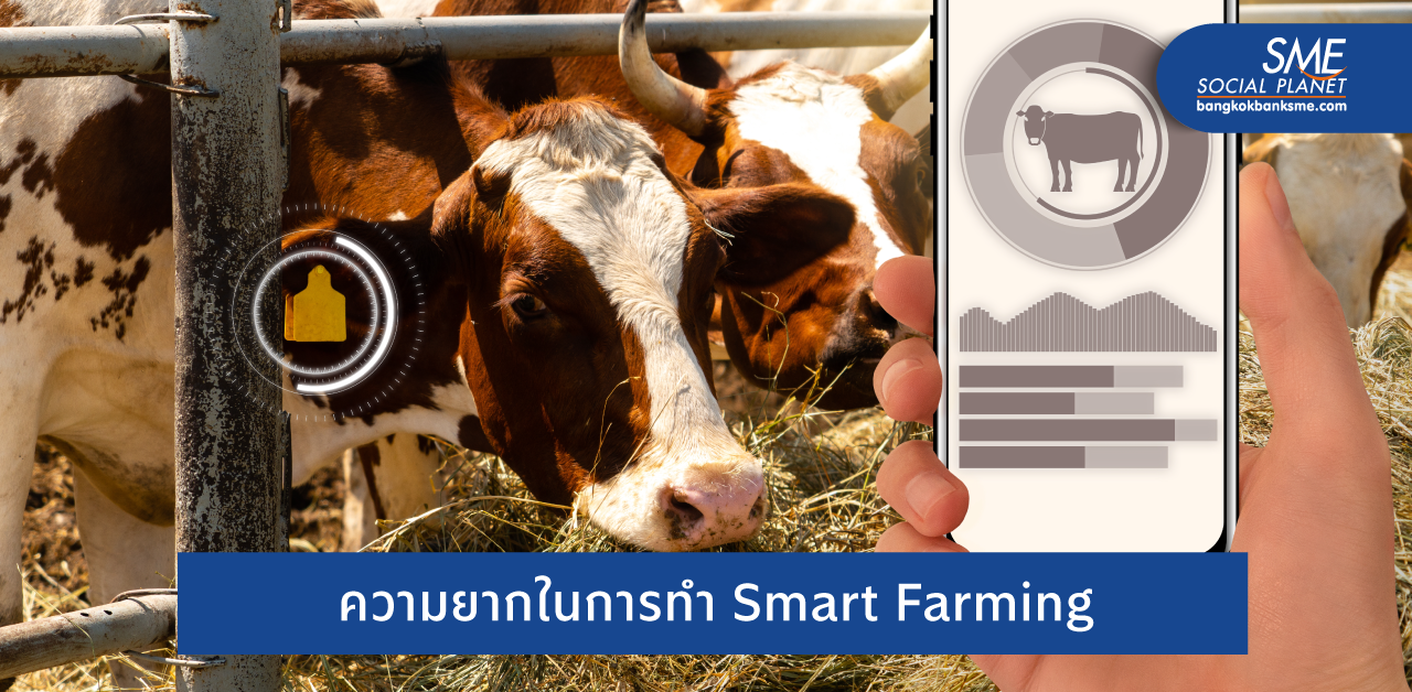 เข้าใจอุปสรรคการทำ Smart Farming เพื่อช่วยเกษตรไทยเข้าถึงเทคโนโลยี