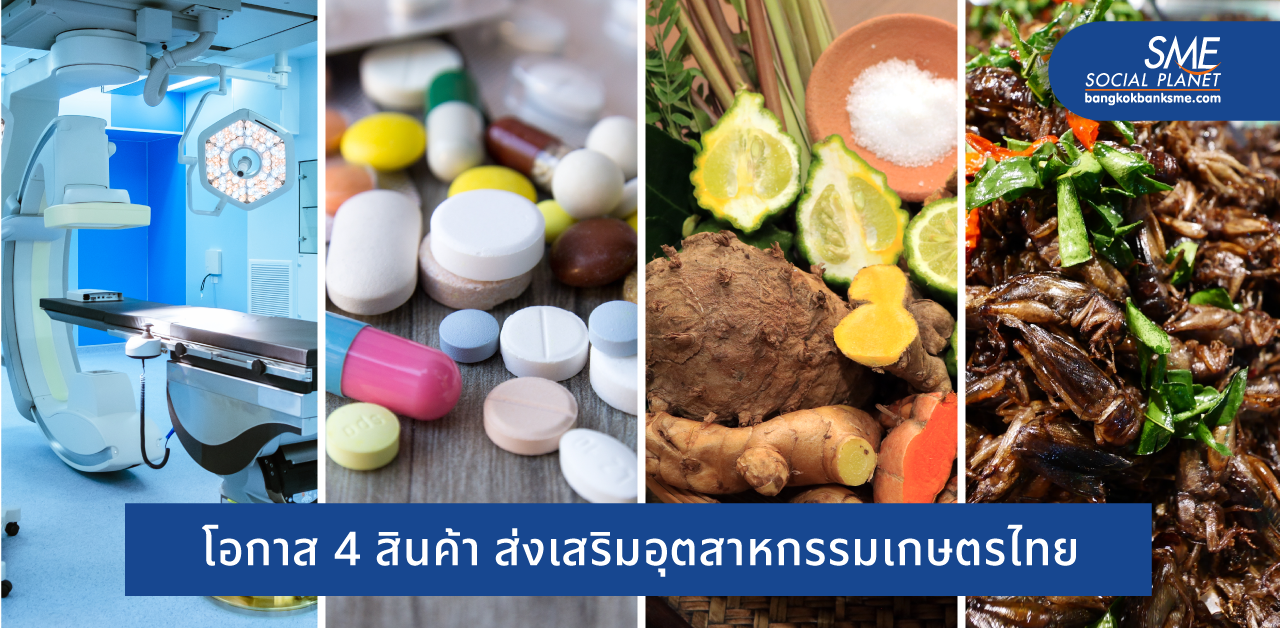 ยกระดับ 4 สินค้าไทย ส่งเสริมอุตสาหกรรมเกษตร ตอบโจทย์ตลาดโลก
