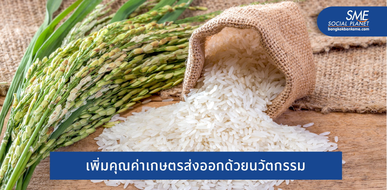 ข้าวเวียดนามกำลังแซงไทย! ถึงเวลาอัพเกรดเกษตรส่งออกด้วย นวัตกรรมและเทคโนโลยี