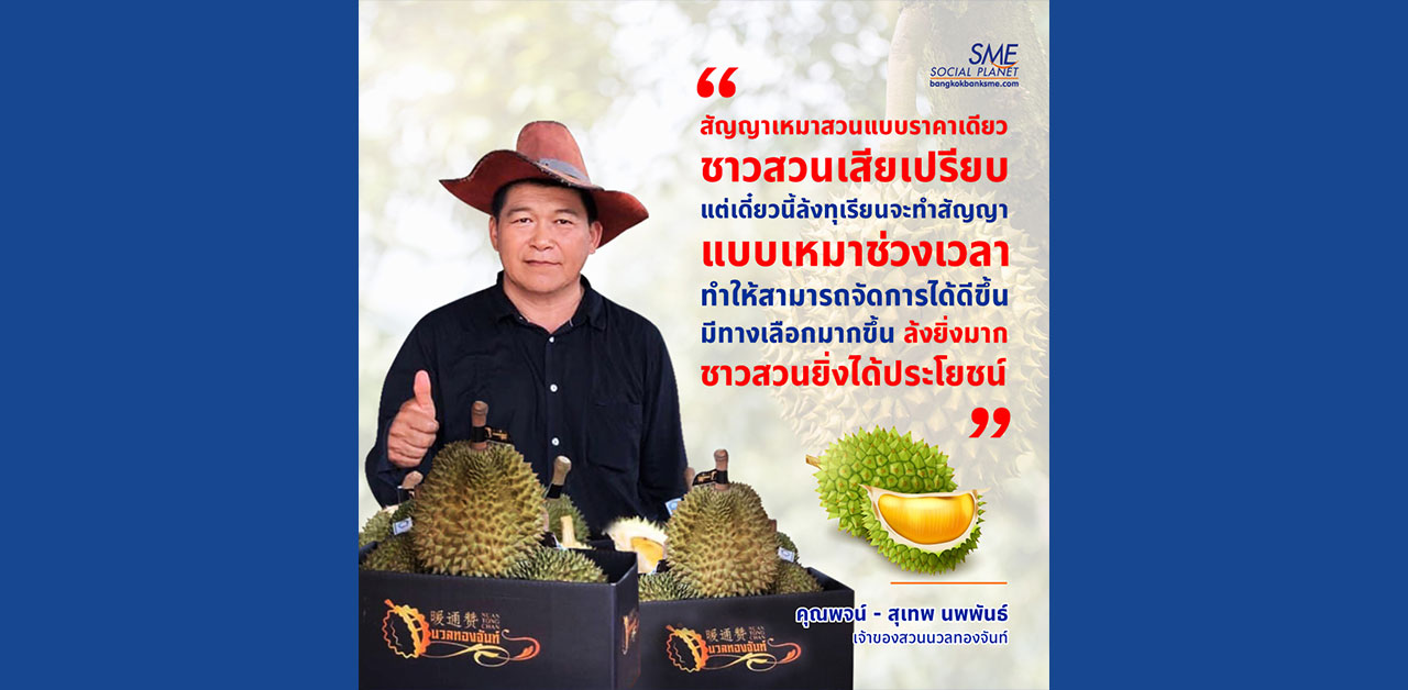 การจัดการภายใต้กระแสทุเรียนฟีเวอร์