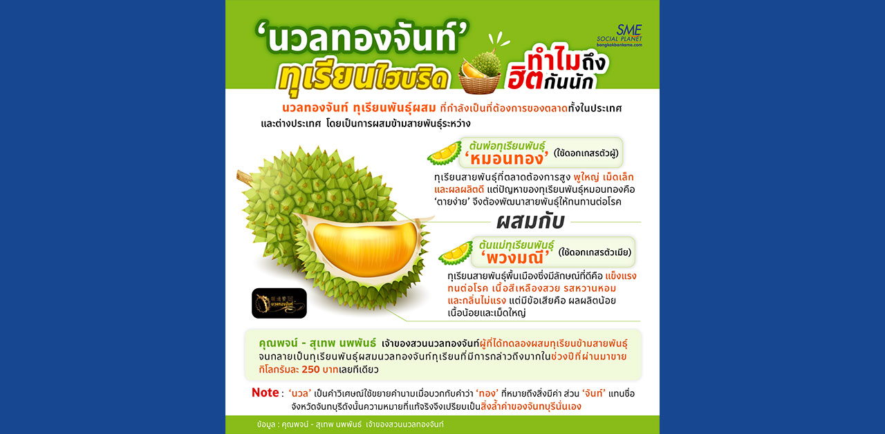 ทุเรียน ‘นวลทองจันท์’ ทำไมถึงได้รับความนิยม
