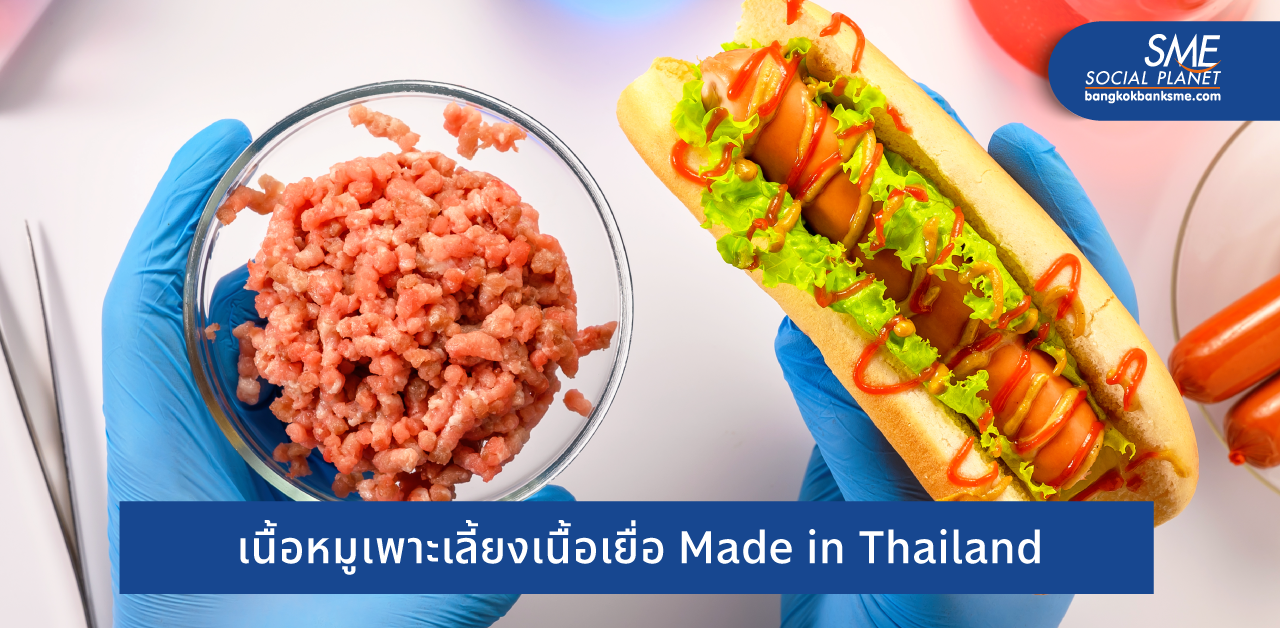 Cultured Meat สัญชาติไทย อีกทางเลือกความมั่นคงด้านอาหารอนาคต