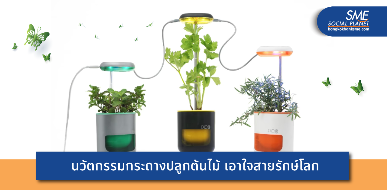 PICO นวัตกรรมกระถางอัจฉริยะ เอาใจสายรักษ์โลก ใช้งานง่าย สะดวกสบาย