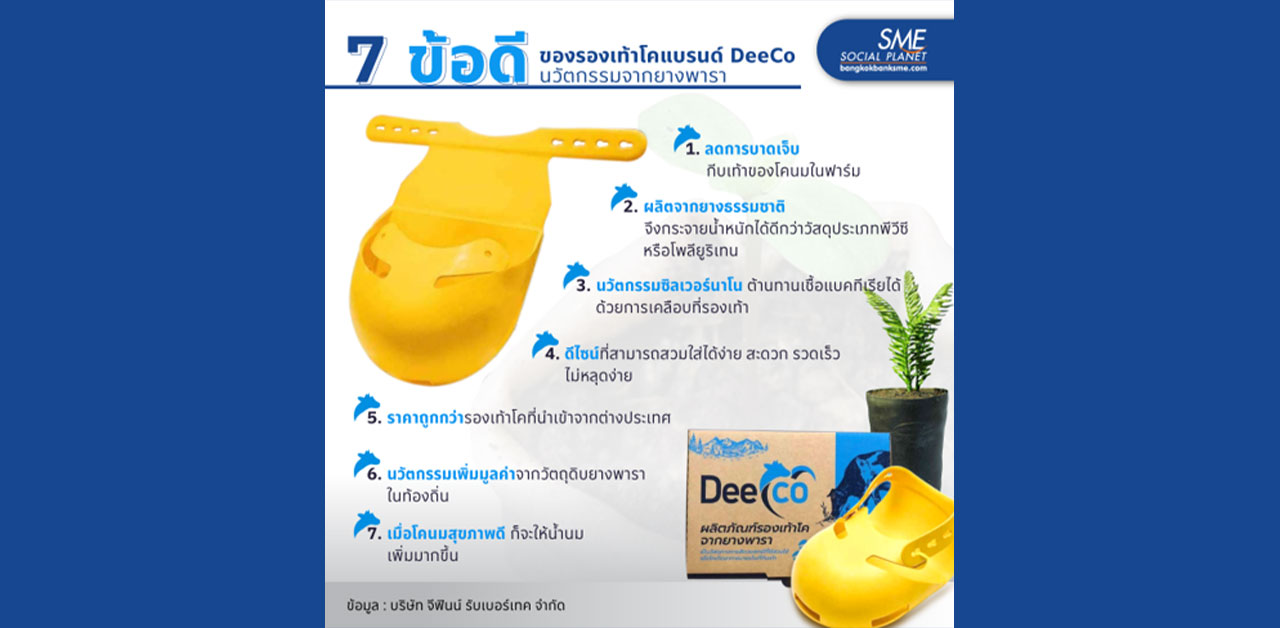 ยางพาราสู่โมเดลรองเท้าโคแบรนด์ Deeco