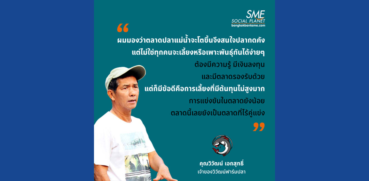 สัตว์เศรษฐกิจคู่แข่งน้อย ‘ปลากดคัง’