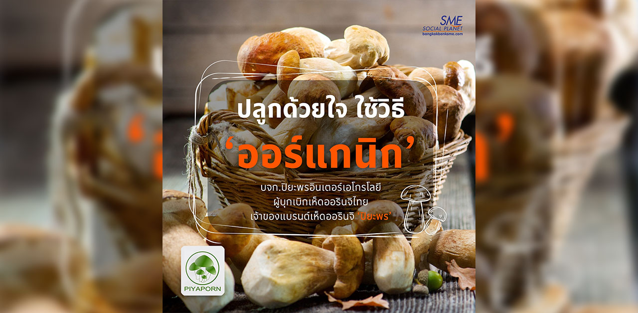 ‘ปลูกเห็ด’ อย่างไร? ให้ประสบความสำเร็จ