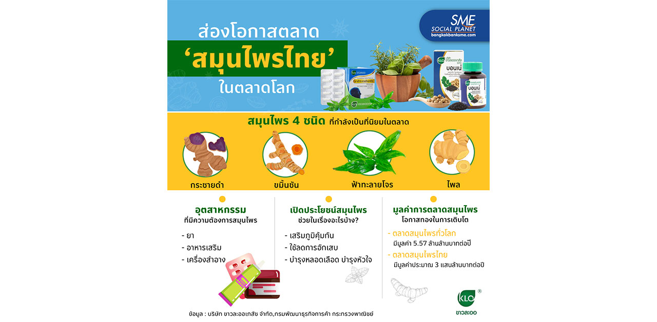โอกาส 'สมุนไพรไทย' ในตลาดโลก