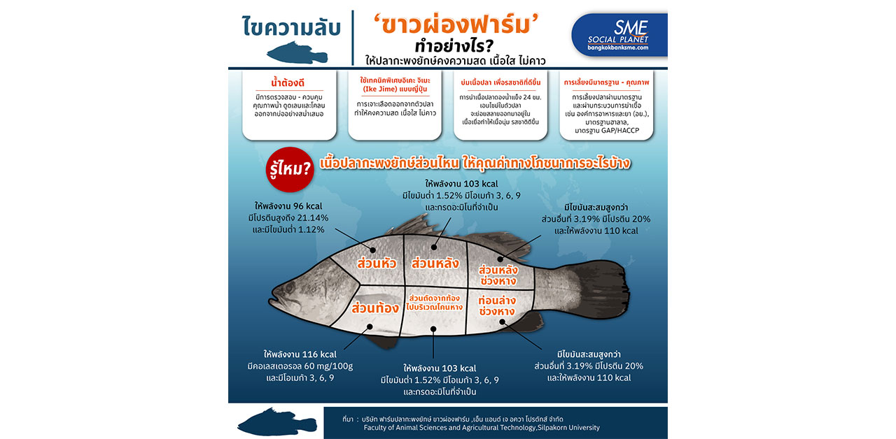 ไขความลับ! ปลากะพงยักษ์ คงความสด เนื้อใส