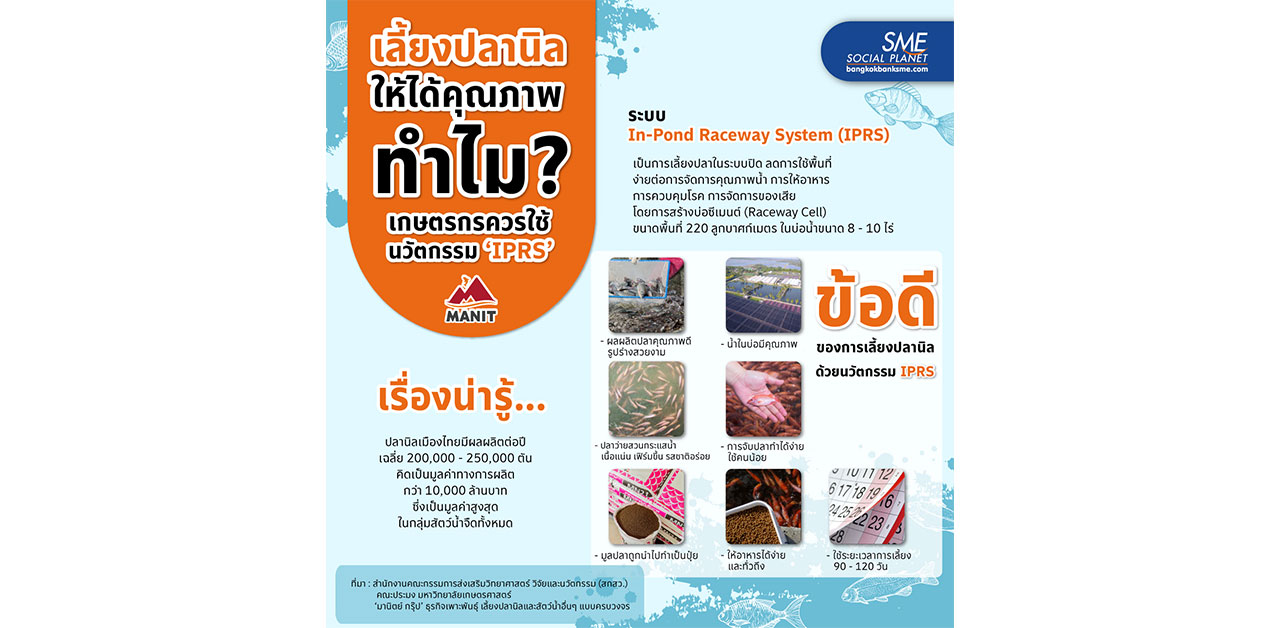 เลี้ยงปลานิลให้ได้คุณภาพ ด้วยระบบ 'IPRS'