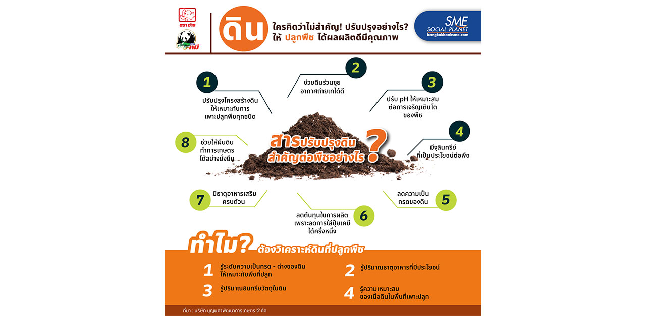 สารปรับปรุง 'ดิน' สำคัญต่อพืชอย่างไร?