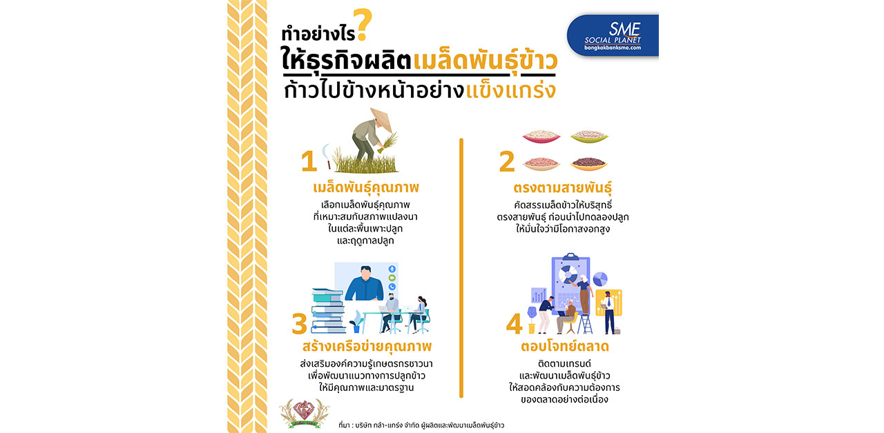 4 ขั้นตอน ทำให้ธุรกิจผลิตเมล็ดพันธุ์ข้าว ก้าวไปข้างหน้าอย่าง..แข็งแกร่ง!