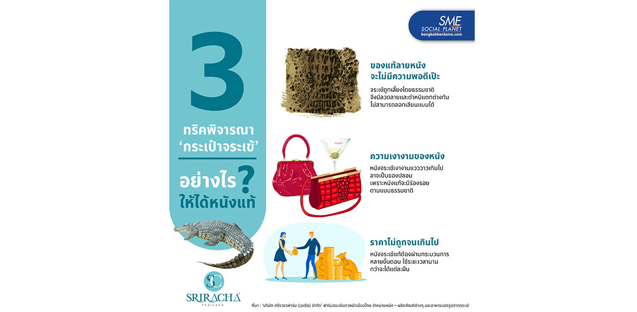 3 เทคนิคสังเกต ‘กระเป๋าจระเข้’ อย่างไร? ให้ได้หนังแท้