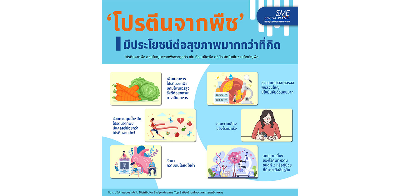 6 ข้อดี 'โปรตีนจากพืช' มีประโยชน์มากกว่าที่คุณคิด!