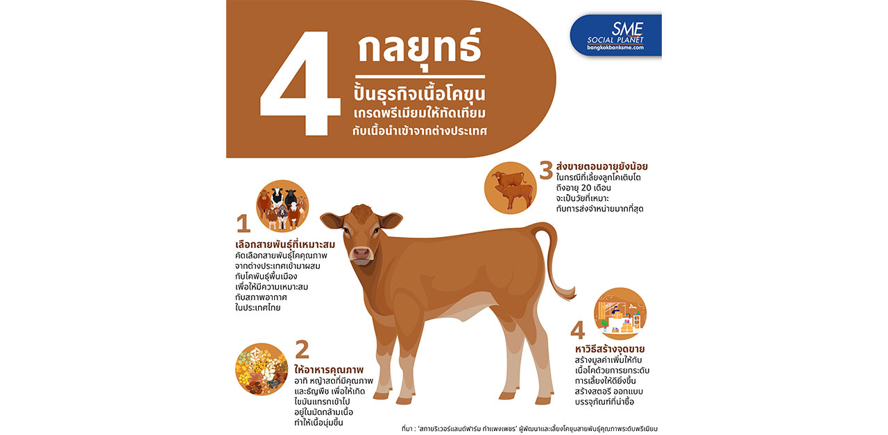 4 กลยุทธ์ปั้นธุรกิจ 'เนื้อโคขุน'