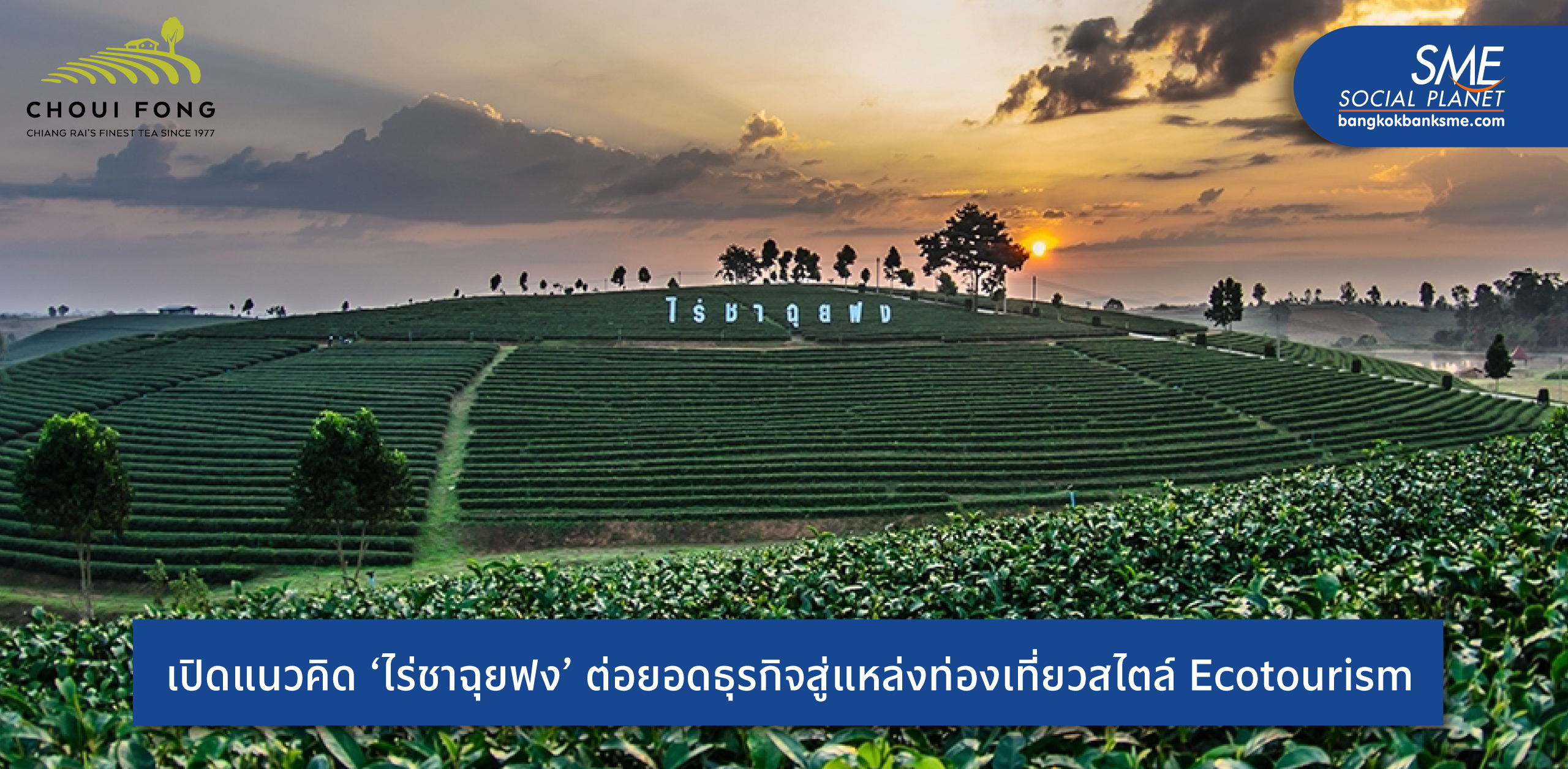ส่องมุมมอง ‘ไร่ชาฉุยฟง’ แหล่งผลิตชาชั้นนำเมืองไทย ต่อยอดธุรกิจสู่แลนด์มาร์คท่องเที่ยวเชียงราย เอาใจสาย Tea Lovers ครบวงจร