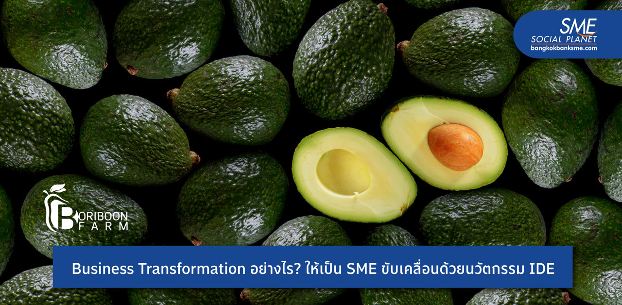 SME ขับเคลื่อนด้วยนวัตกรรม ‘บริบูรณ์ฟาร์ม’ ผนึกมหาวิทยาลัยชั้นนำเมืองไทย วิจัยและพัฒนาสารสกัดอะโวคาโด รังสรรค์ผลิตภัณฑ์ตอบโจทย์คนรักษ์สุขภาพ