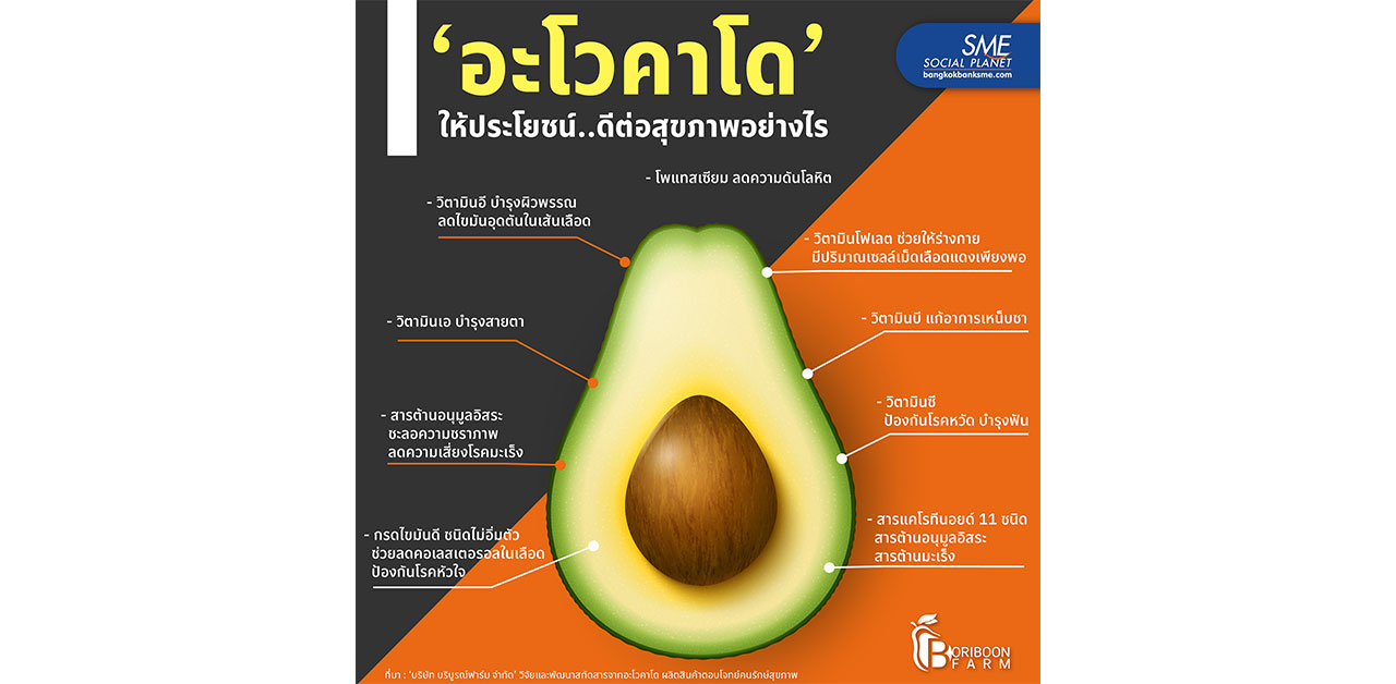 9 สารอาหาร 'อะโวคาโด' ประโยชน์ดี..มีคุณค่ากับร่างกาย