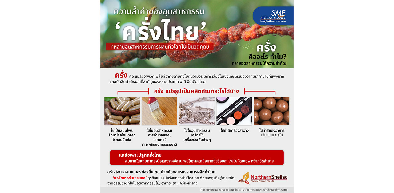 ทำความรู็จัก 'ครั่ง' ที่หลายอุตสาหกรรมการผลิตทั่วโลกใช้เป็นวัตถุดิบ