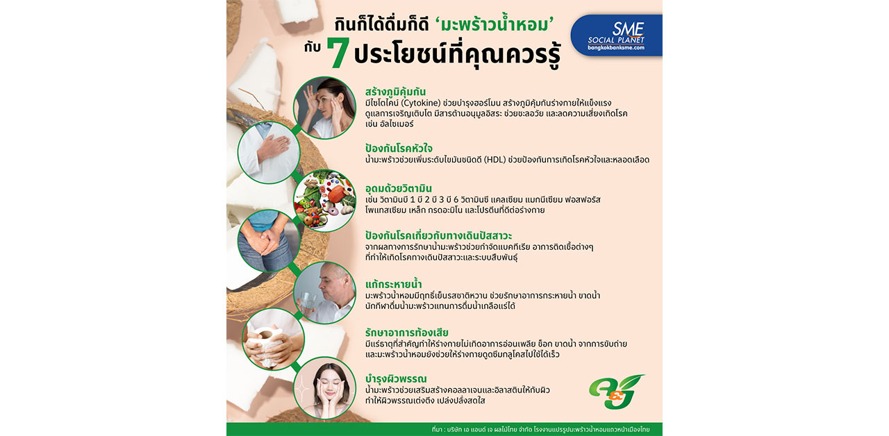 7 ประโยชน์ กินได้กินดี 'มะพร้าวน้ำหอม' ผลไม้แสนโปรดของใครหลายคน