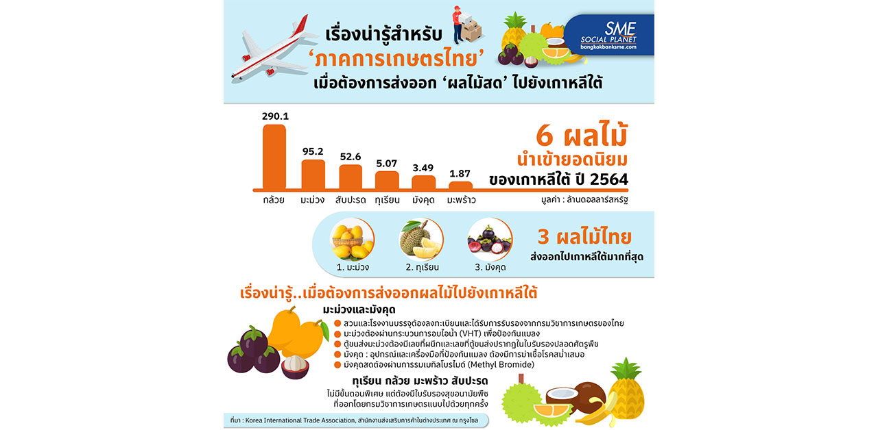 เรื่องน่ารู้ ผลไม้ไทยยอดนิยม ในประเทศเกาหลีใต้