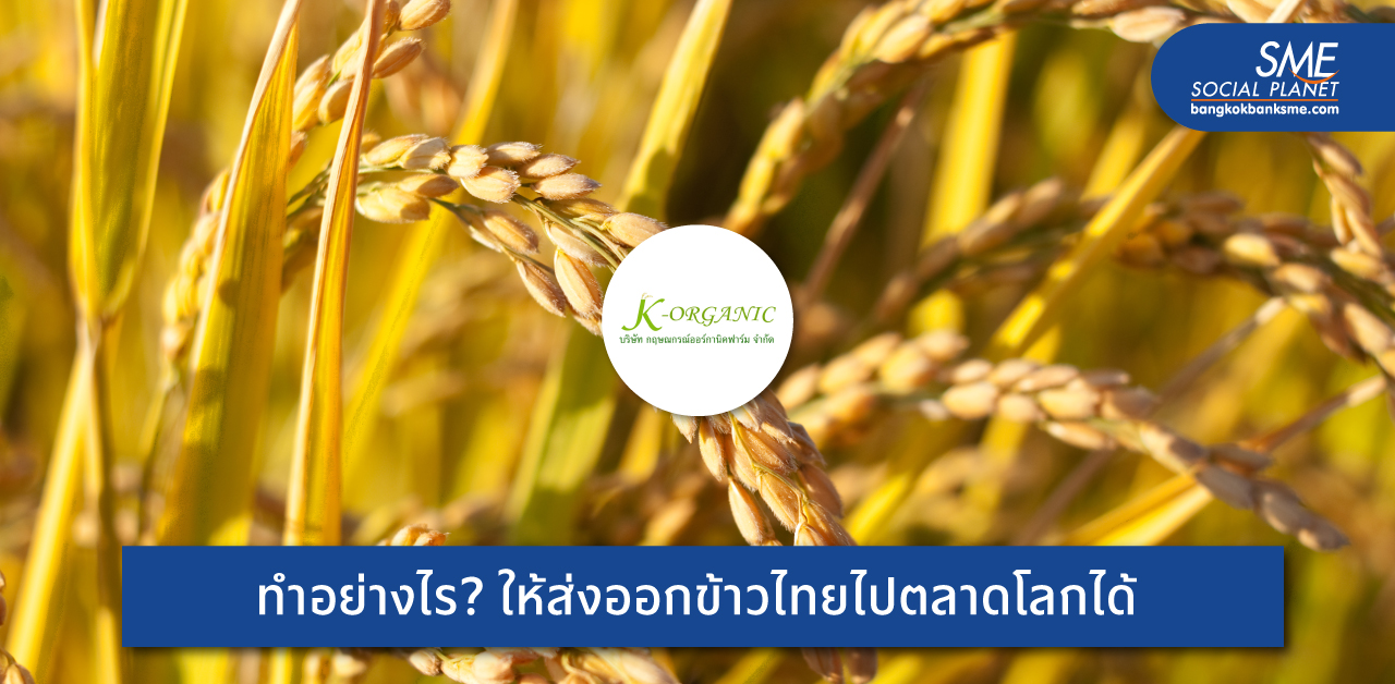 ‘กฤษณกรณ์ออร์กานิคฟาร์ม’ จากวิสาหกิจชุมชน ยกระดับข้าวไทยสู่ตลาดโลกด้วยเกษตรอินทรีย์